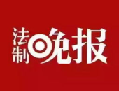 鲁美最新爆料新闻,揭秘娱乐圈惊人内幕
